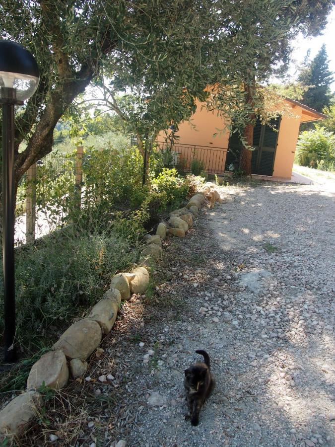 Agriturismo Ardizio 43 Pesaro Exterior foto